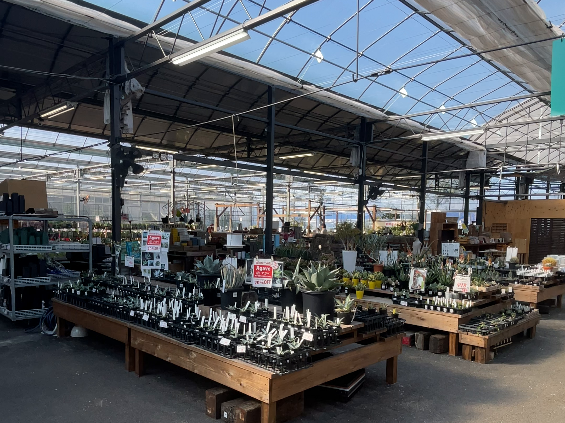 取材時の園芸売場