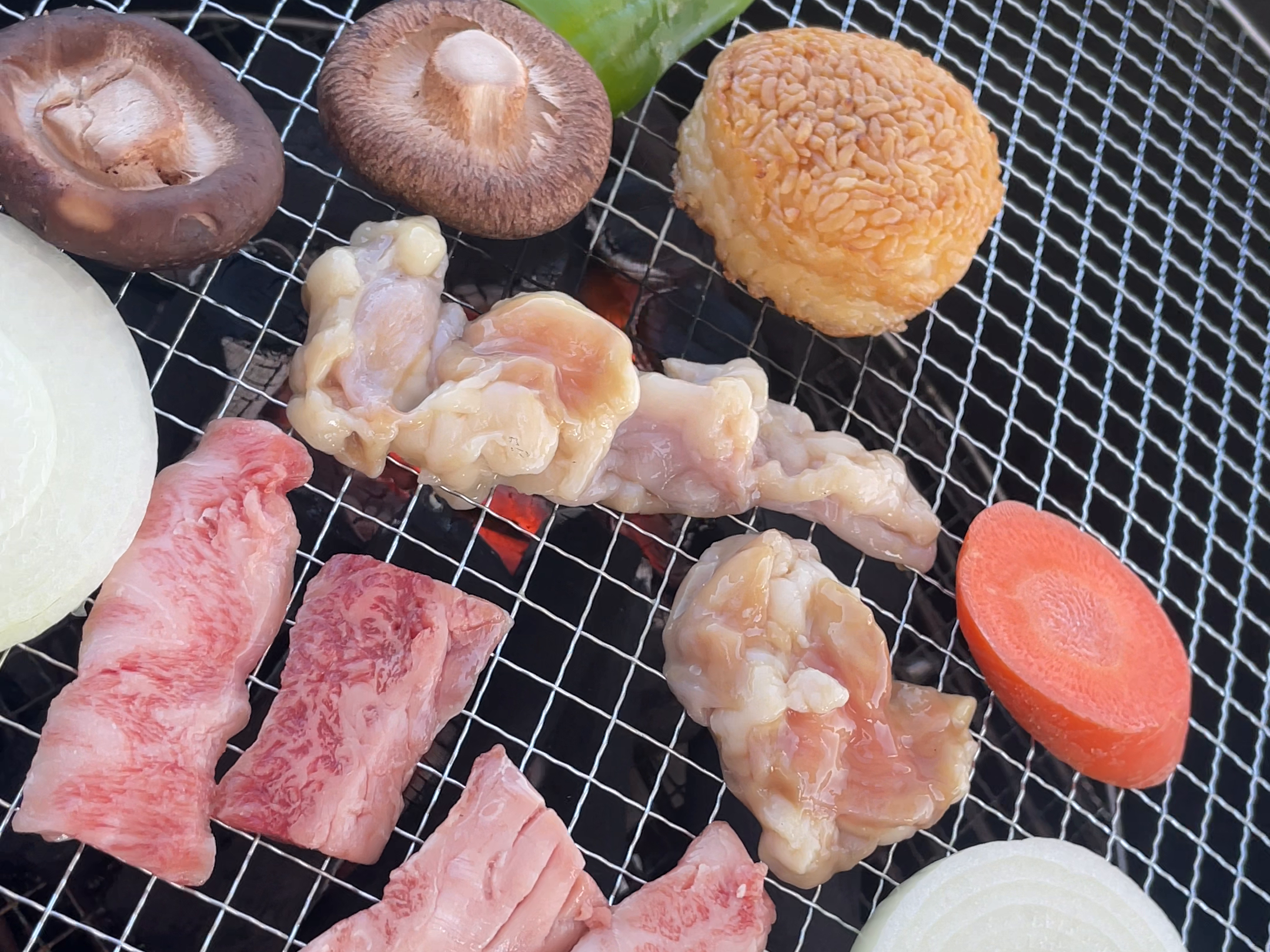 取材時のバーベキューの焼き網